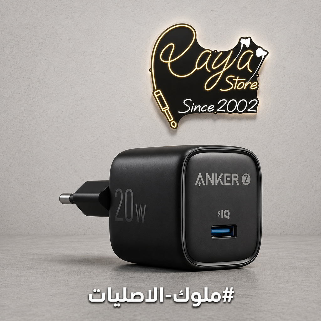 Anker Head Charging Zolo 20W