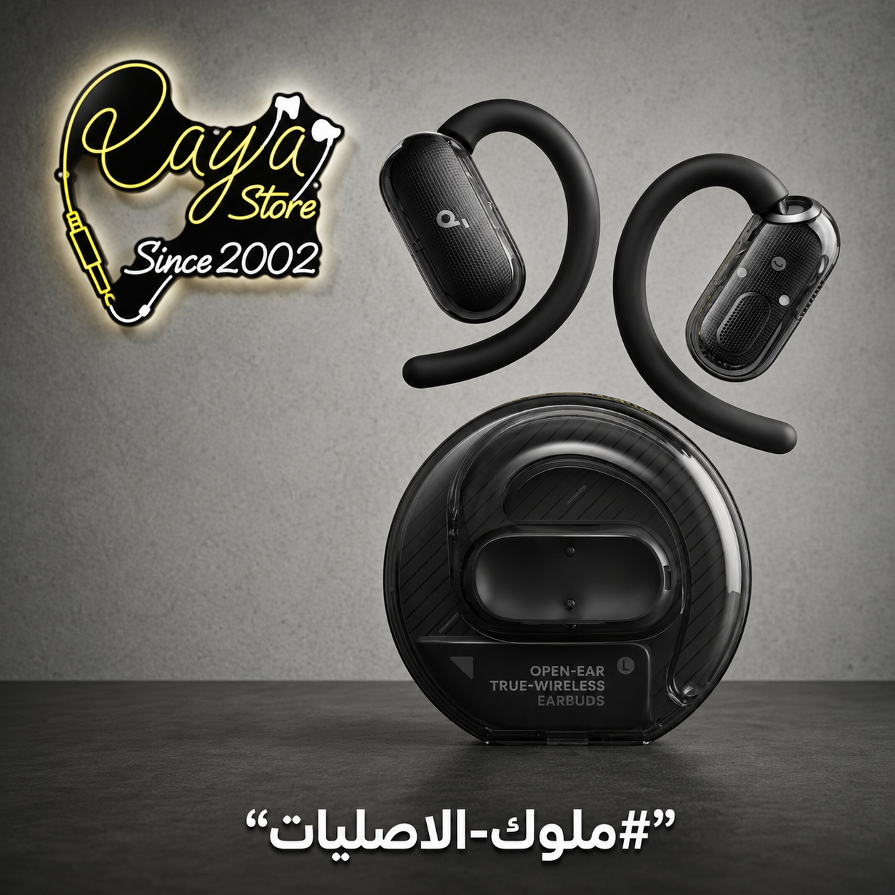 Soundcore V40i