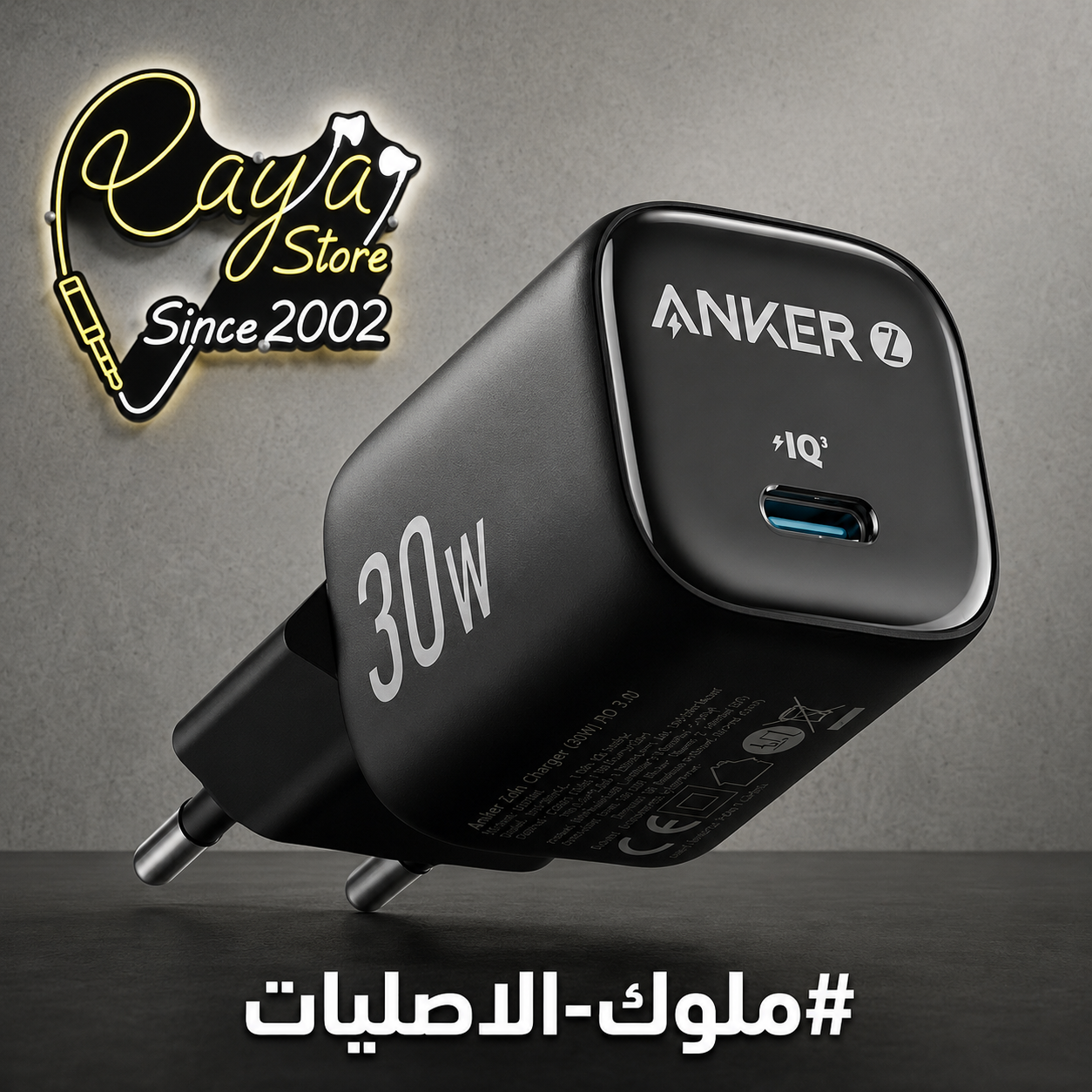 Anker Head Charging Zolo 30W