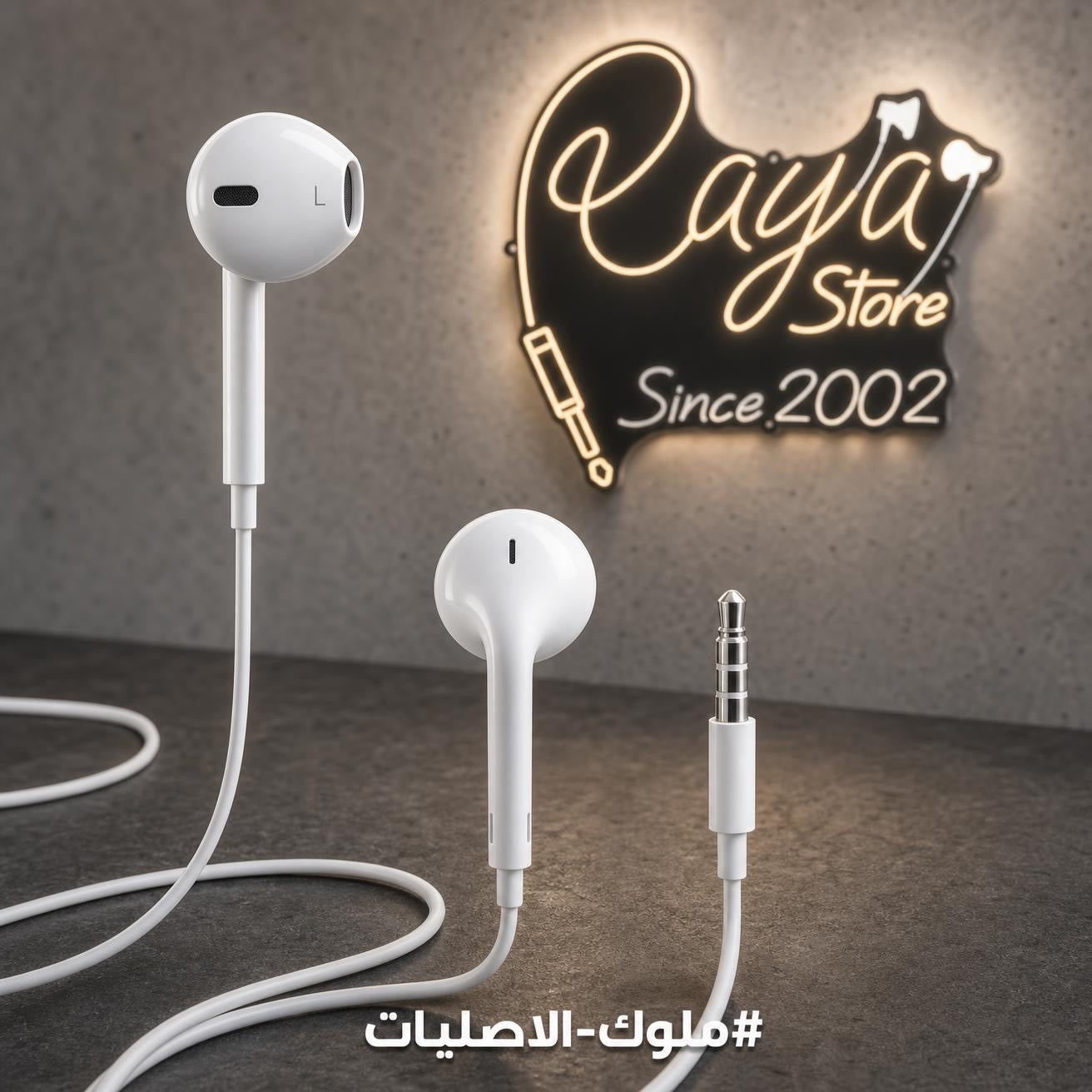 Joyroom Wire headphone JR-EW01